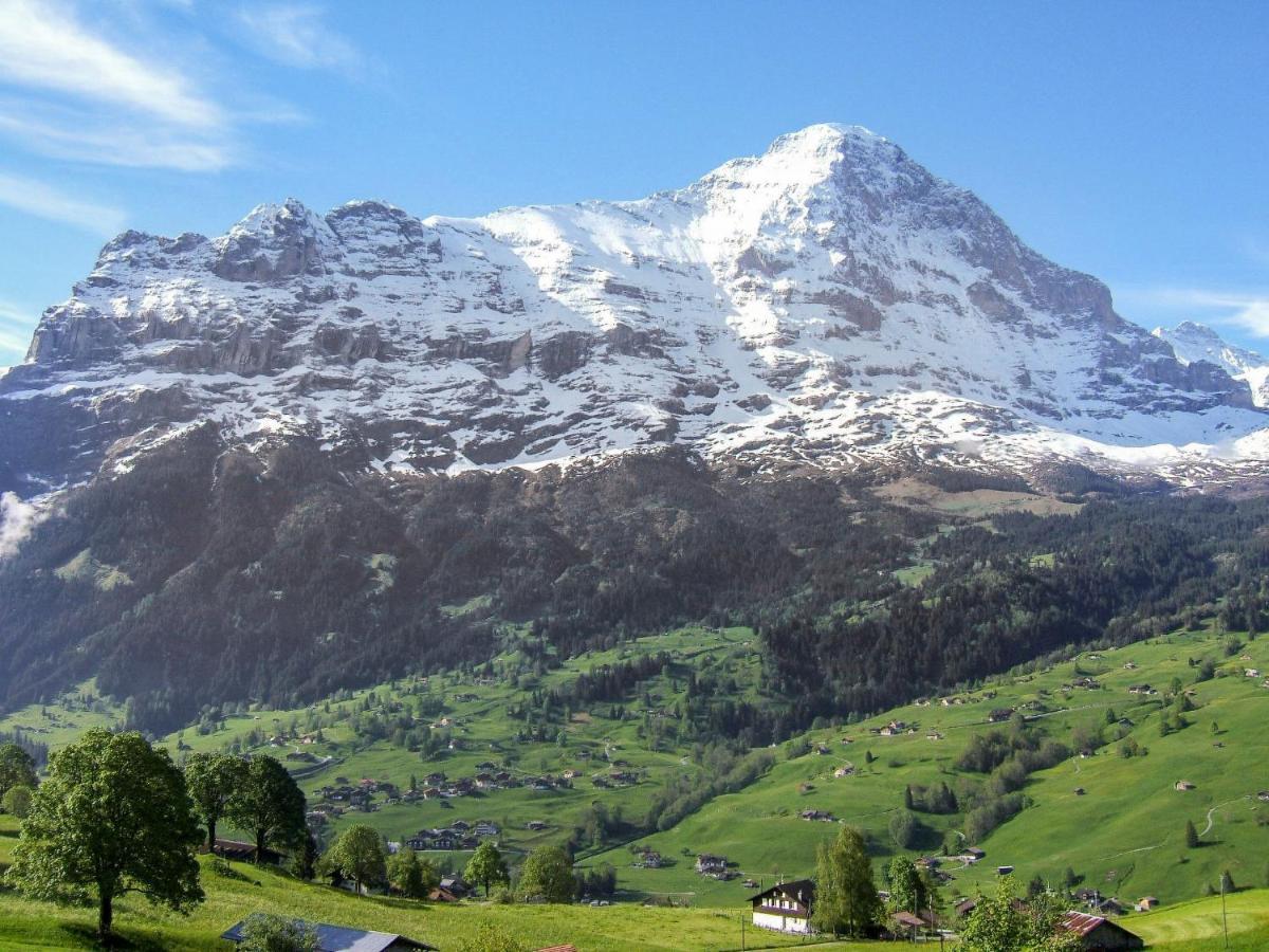 Holiday Home Chalet Ahornen By Interhome Grindelwald Eksteriør billede