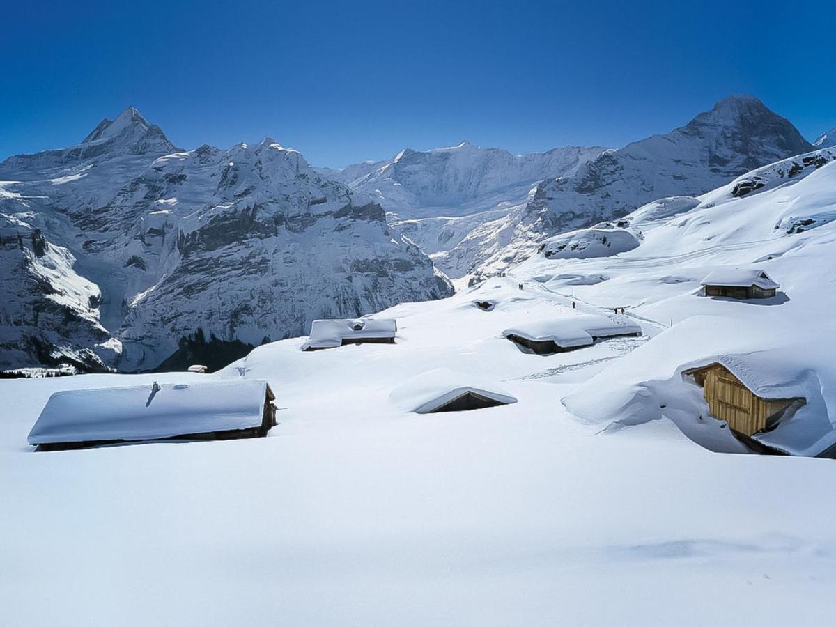 Holiday Home Chalet Ahornen By Interhome Grindelwald Eksteriør billede